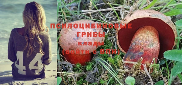 тгк Армянск