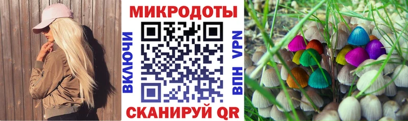 Псилоцибиновые грибы мухоморы  мега вход  Минусинск 